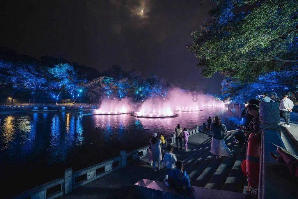 玉米打矮壮素下雨了需要补喷吗?知识星球平台-开启学习与分享的新时代
